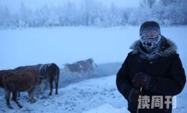 世界上最冷的村庄是哪里-俄罗斯奥伊米亚康村-最冷-71.2℃