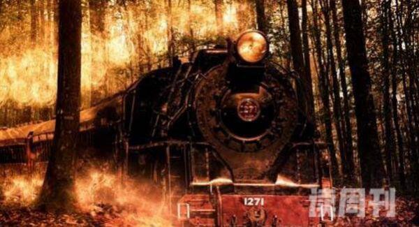 俄罗斯惊现幽灵火车（这辆火车可以无视常规物理定律）(4)