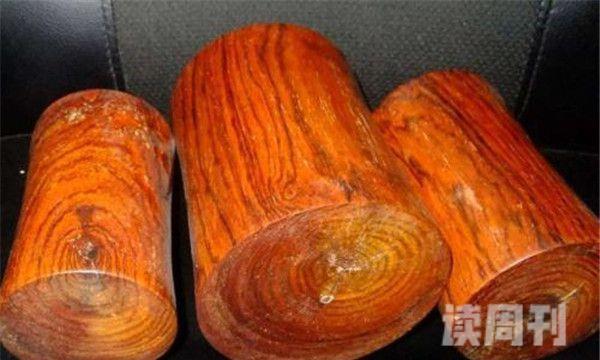 比较硬不易变形的木头有哪些（常见硬质木头有哪些）(5)