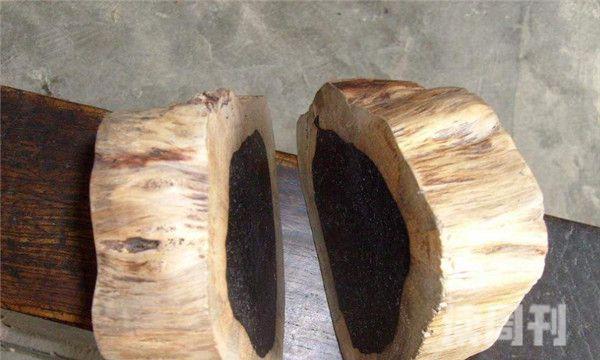 中国十大坚硬的木头（有良好的保质期，而且对人体的伤害比较小）