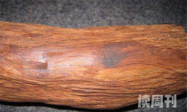 中国十大坚硬的木头（有良好的保质期，而且对人体的伤害比较小）(3)