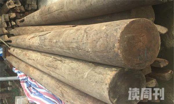 中国十大坚硬的木头（有良好的保质期，而且对人体的伤害比较小）(5)