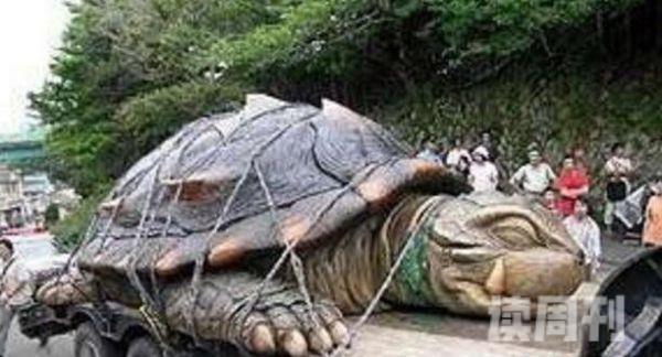 黄河巨龟的真实图片 其雄伟壮观的场面一直都是令人叹为观止