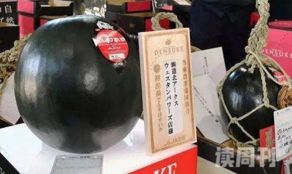 世界上最贵的西瓜（曾拍出6100美元的高价）
