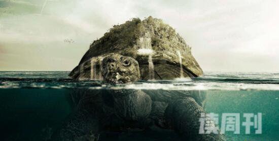 黄河巨龟的真实图片 其雄伟壮观的场面一直都是令人叹为观止(3)