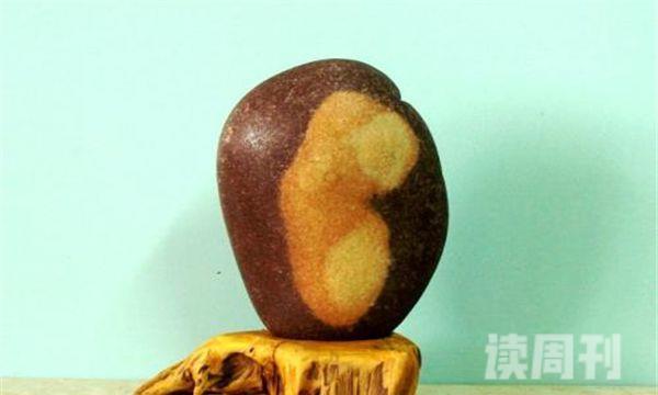 中国十大奇迹石头（鸡雏出壳就像鸡蛋壳破裂一样）(6)