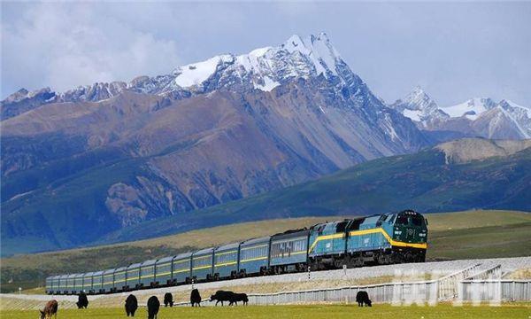 世界上最长的高原铁路是哪一条 青藏铁路全长能够达到1142米(5)