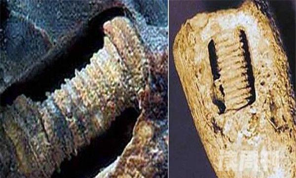3亿年前莫斯科发现的螺丝钉（极大的可能是海洋生物的骨头）(2)