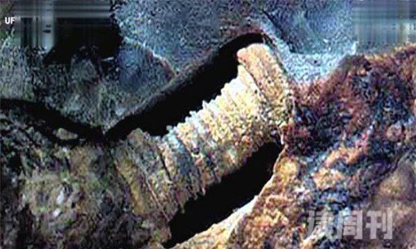 3亿年前莫斯科发现的螺丝钉（极大的可能是海洋生物的骨头）(5)