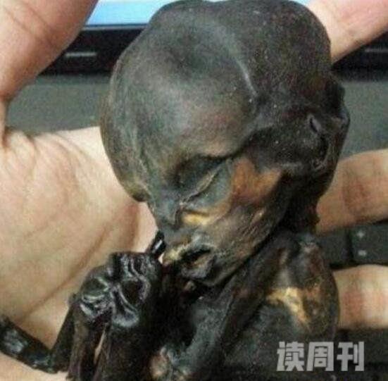 泰国古曼童是什么用死婴尸魂制作的童子木乃伊(图片)(5)