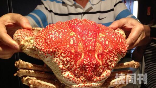 世界上最重的螃蟹（澳洲皇帝蟹目前发现它最重可达72斤）(5)
