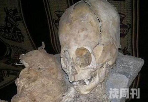 秘鲁考古惊现巨大头骨(2)