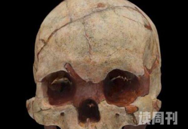 秘鲁考古惊现巨大头骨(3)
