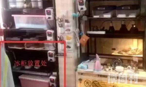 上海冰柜冷藏尸案被执行死刑（上海冰箱藏尸案审判结果）(4)