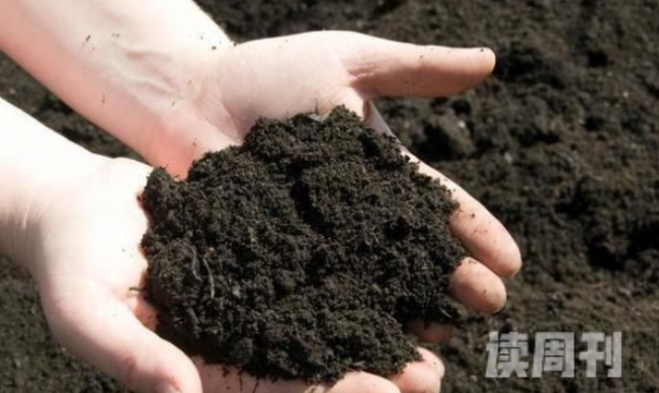 各种颜色土壤的基本知识（黑土是土地中营养最丰富的一种土壤）(1)